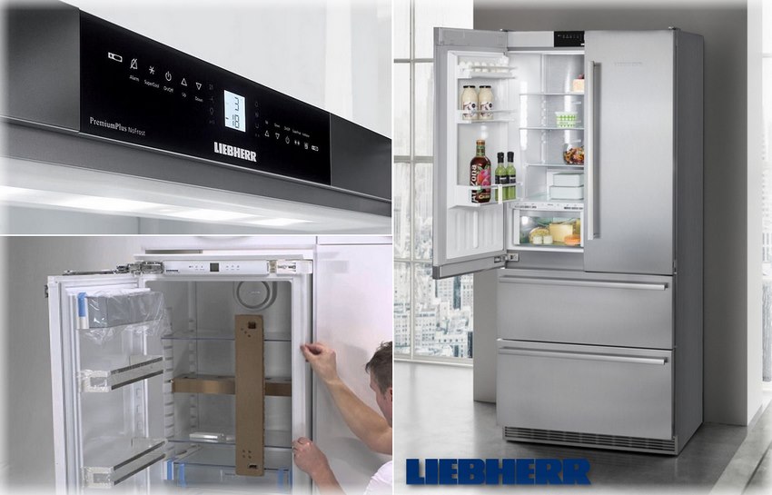 Выбор холодильника и отличия Либхер